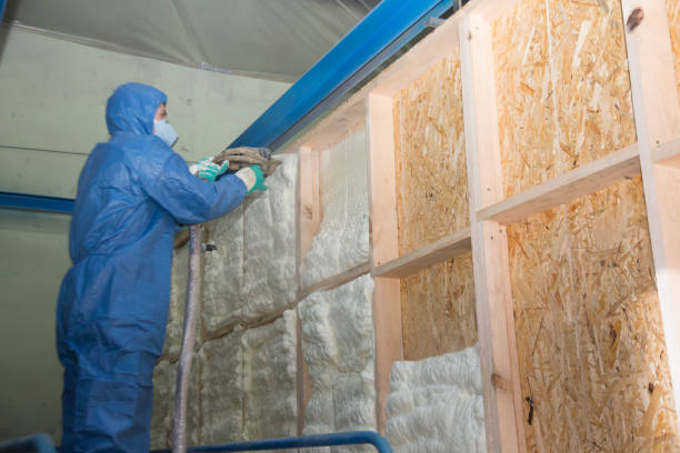 Best Attic Insulation Installation  in Chester, NY